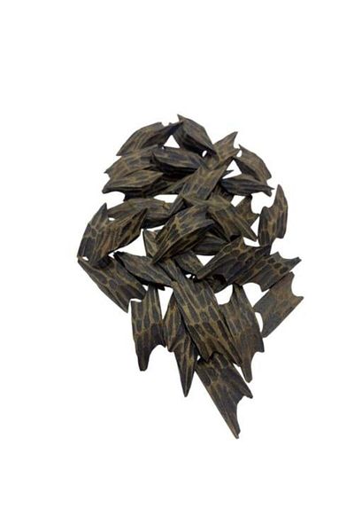 Arjowan Al Jazeera Oud Tayger Super Premium (32 grams)