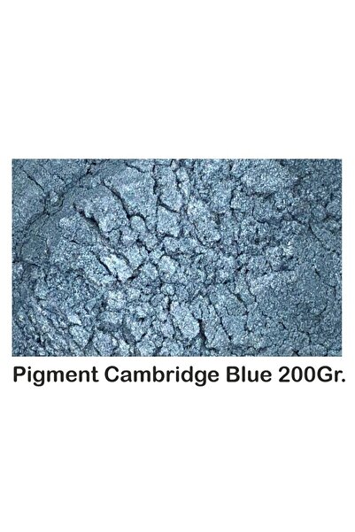 OEM Pigment Metalic Cambridge Blue 200Gr.