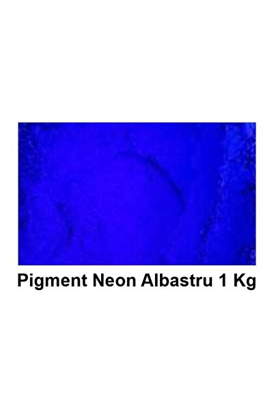 OEM Pigment Neon WG Blue 1Kg