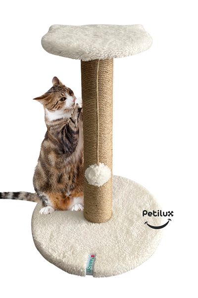 Petilux Jute Drawstring Single Scratching Post with Cat Head Figure Step Top