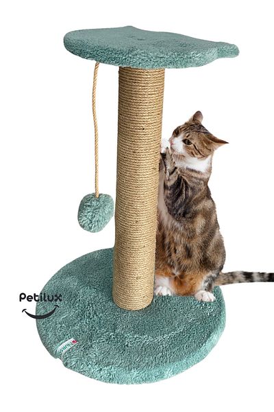 Petilux Jute Drawstring Single Scratching Post with Cat Head Figure Step Top