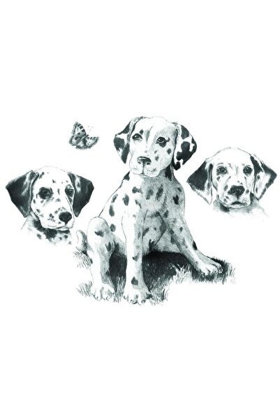 Royal Set pentru realizarea unui desen in creion - Dalma