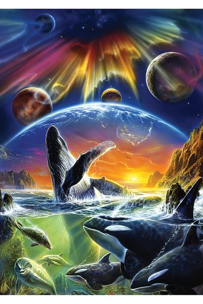 Heidi 500-piece puzzle: Aurora the Orca