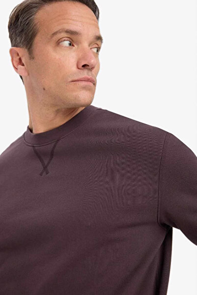 DeFacto Ανδρικό φούτερ 100% βαμβακερό κανονική εφαρμογή Crew Neck καφέ E8339AX/BN596