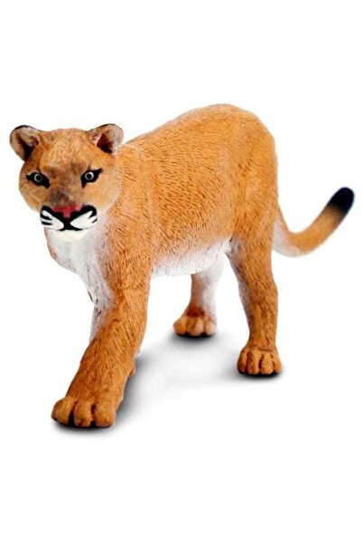 Safari Puma