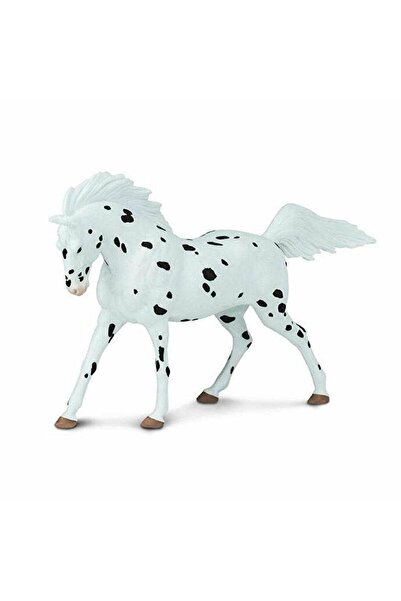 Safari Cal Knabstrupper