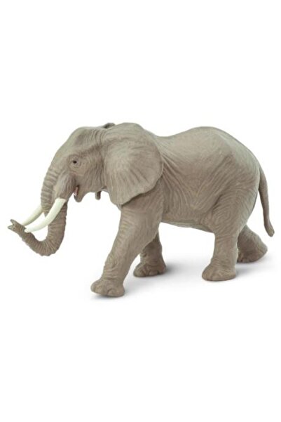 Safari Elefantul african