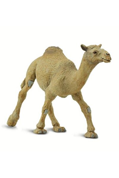 Safari Camila (saf222429)