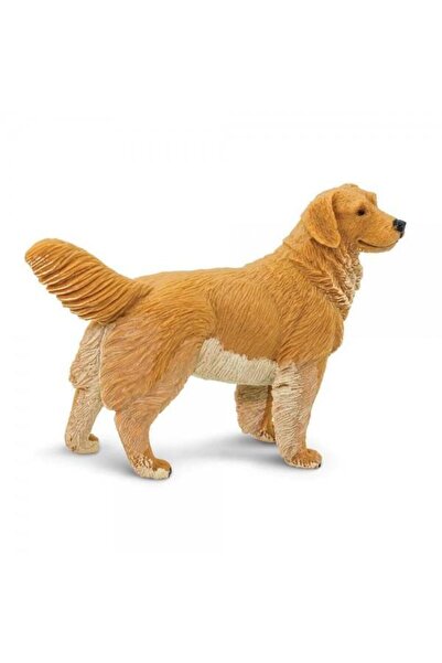 Safari Golden Retriever