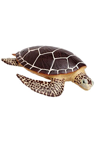 Safari Testoasa de mare