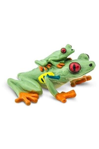 Safari Brotacel cu ochi rosii