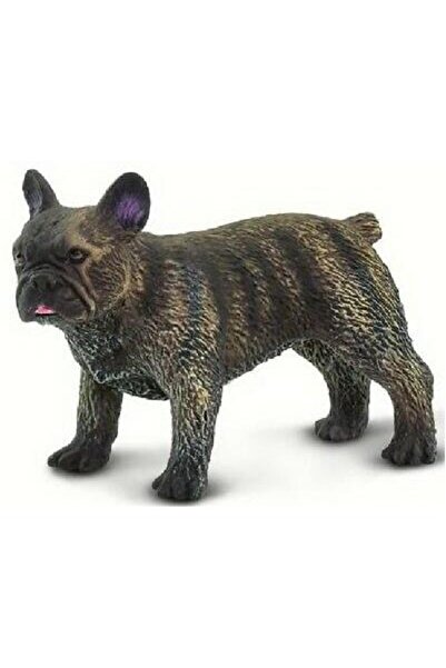 Safari Bulldog francez