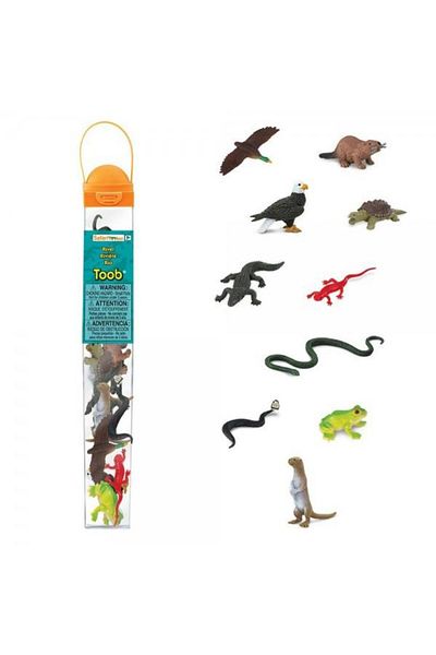 Safari Boy Six