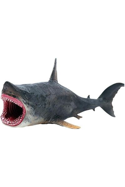 LUDIRO Realistic Megalodon Shark Figurine, Educational Toy for Children, 25.5 cm