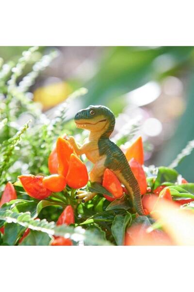 Safari Pui de Tyranosaurus Rex