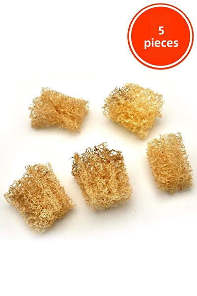 xdeonss Σφουγγαρίστρα πιάτων 100% φυσική ίνα κολοκύθας x 5 τεμάχια