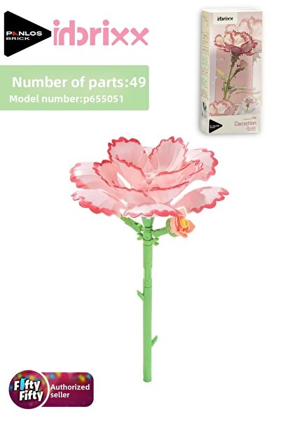 Vagonlife مجموعة بنلوس إنبريكس للديكور والجمع من زهرة القرنفل مكونة من 49 قطعة -FFP65505