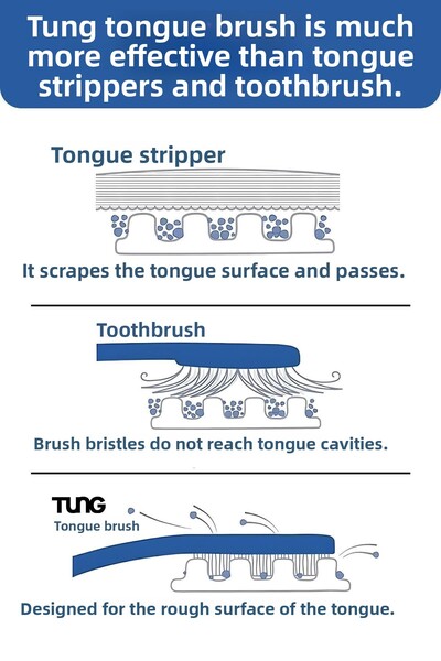 Tung فرشاة تنظيف اللسان