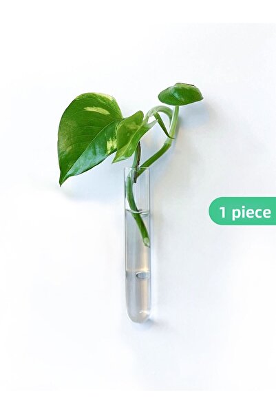 Noue Store مزهرية صغيرة مقاس 10 سم - مزهرية زجاجية مزخرفة مغناطيسية، ثلاجة صغ...