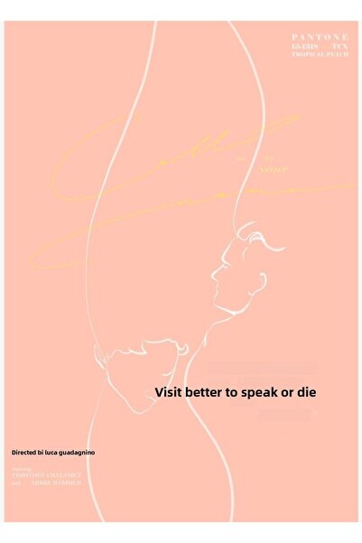 Universal Καλέστε με το όνομά σου, Τιμοτέ Σαλομέ, Άρμι Χάμερ, Ξύλινη Διακοσμη...