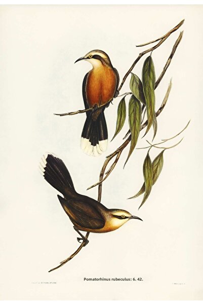 woodsia Tablou cu poster din lemn MDF cu aspect de cadru dintr-o singură buca...