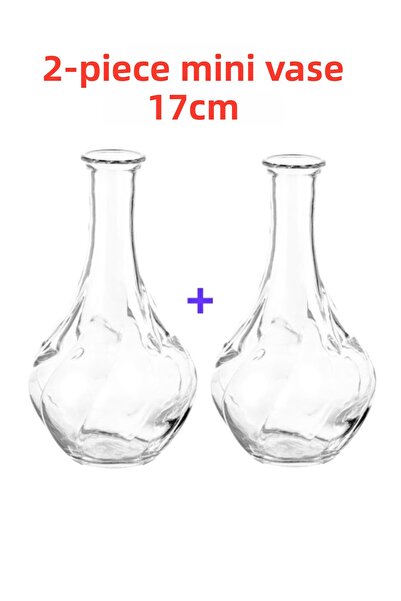 HOLLYHOME 2 Διακοσμητικά Γυάλινα Βάζα, Viljestark 17 εκ.
