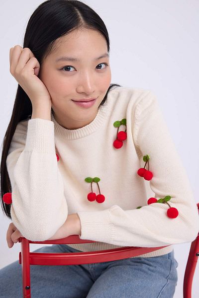 Trendyol Collection Teen Stone Fruit Embroidery Embroidered Knitwear Sweater Twoaw26Kz00096
