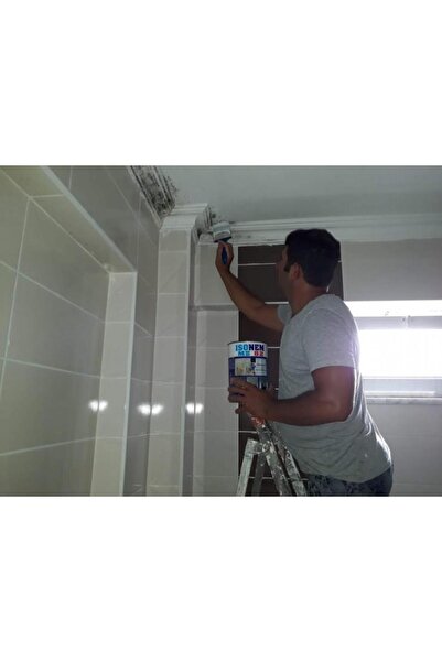 Isonem Ms 82 Rutubet Nem Küf Boyası 1 Kg Beyaz