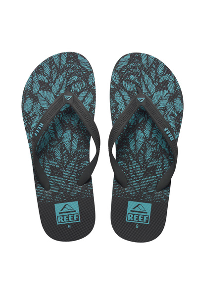 Reef Seaside Prints - Aquifier Palm