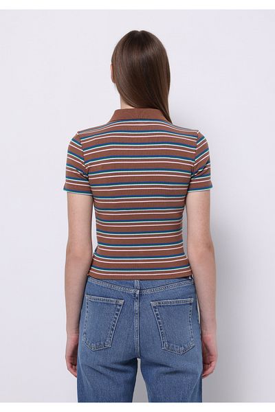Colin's Slim Fit Polo Neck Striped Women's Brown Short Sleeve T-Shirt