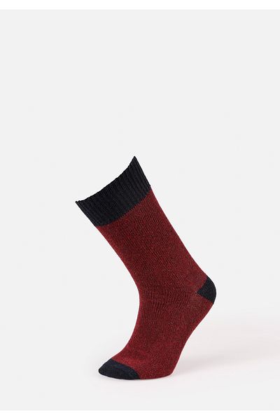 Colin's Men's Burgundy Socks