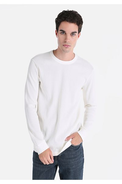 Colin's Regular Fit Round Neck Plain Men's Ecru Long Sleeve T-Shirt
