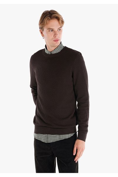 Colin's Men's Sweater - Regular Fit, Crew Neck, Brown