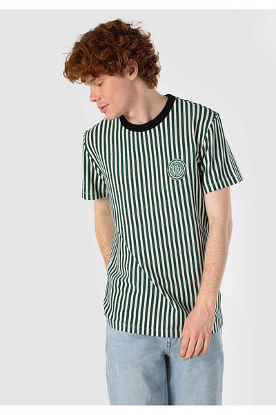 Colin's Green Striped Crew Neck Men's Short Sleeve T-Shirt - Regular Fit