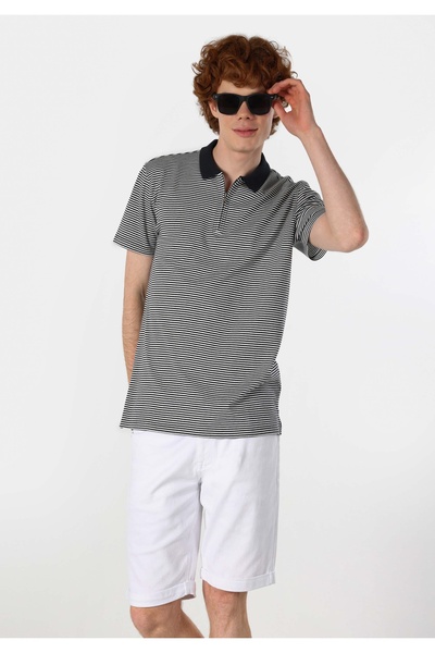 Colin's Регулярний крій, поло-комір, смугастий, чоловічий, темно-синій, короткий рукав, футболка