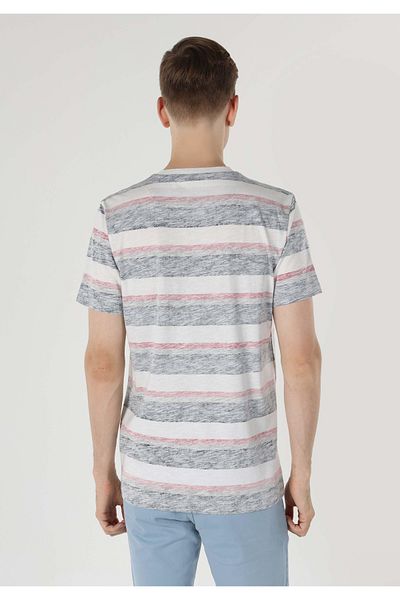Colin's White Striped Regular Fit Crew Neck Men's Short Sleeve T-Shirt