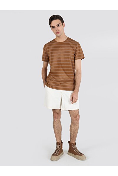 Colin's Regular Fit Round Neck Striped Men's Brown Short Sleeve T-Shirt