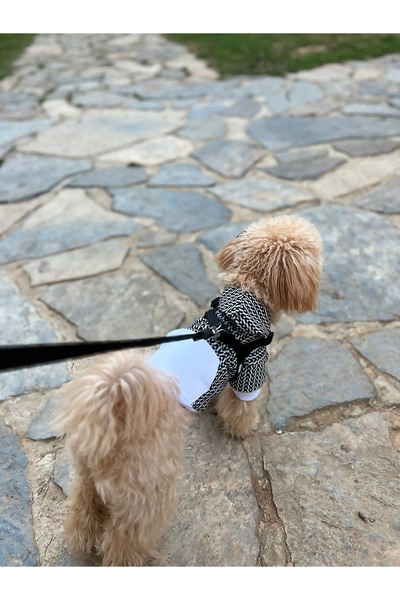 petite pati Kaz ayagi cepli sweatshirt KopekKıyafeti