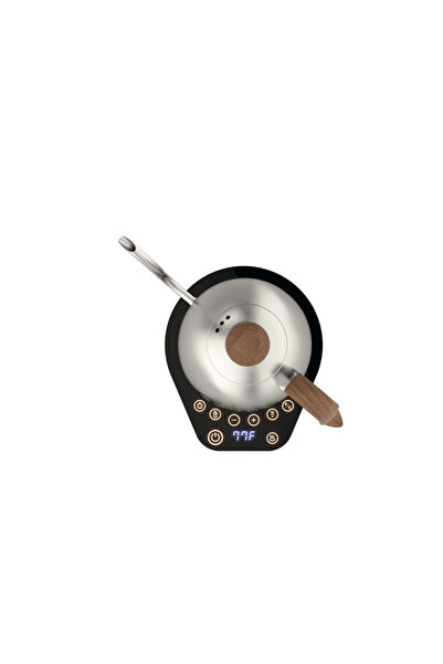 Brewista Artisan 0.6 L Gooseneck Variable Kettle Silver