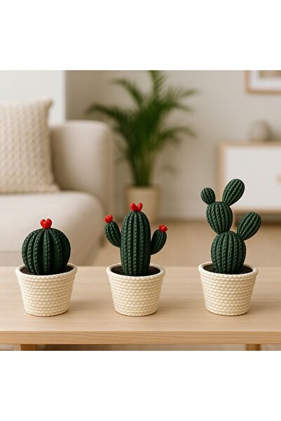 HisConcept Dekoratif 3’lü Kaktüs Seti, Örgü Desenli Biblo, Çevir-Aç Saklama Alanlı, Kırmızı Uçlu