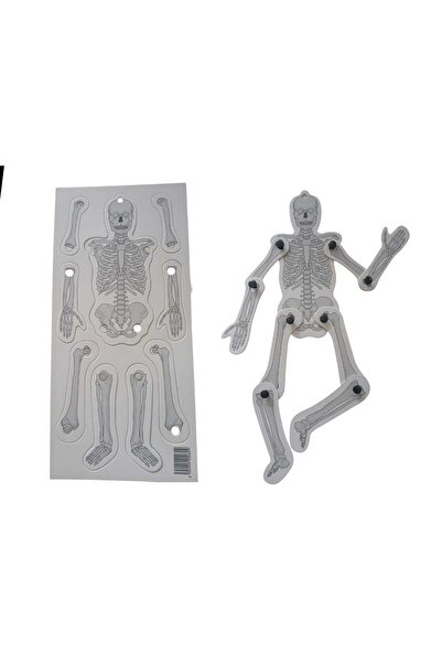 Genel Markalar Karton Iskelet Seti Sistemi - Maket