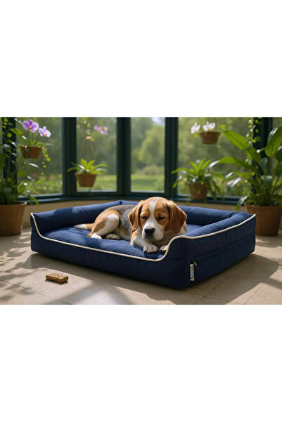 viscopet Şönil Kumaş Premium Sofa Blok Sungerli Alezli Fermuarlı Yıkanabilir Köpek Yatağı