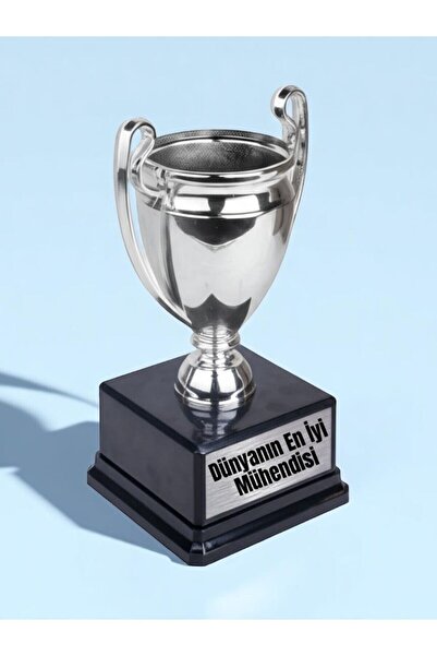 lili hediyelik World's Best Engineer Printed Engineer Award Achievement 23cm Championship Trophy Gift