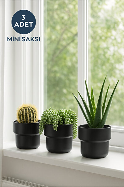 HOMİNG 3 Adet Mini Dekoratif Saksı Siyah 241353