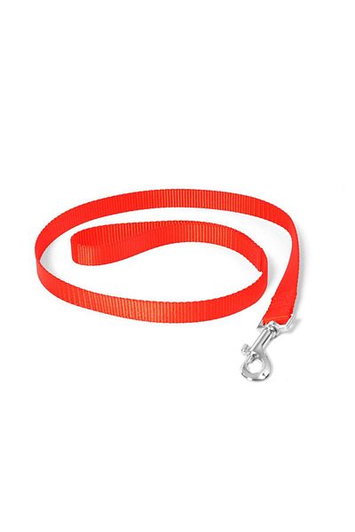 Duvo Nylon lead Color: Red, Dimension: 100cm/25mm