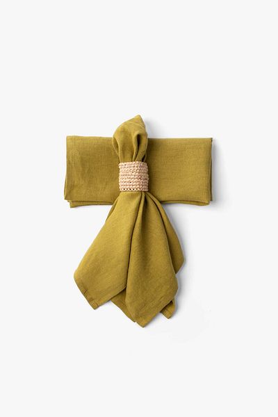 JOJOMIA Lona 2-Piece Linen Fabric Serving Presentation Napkin 45X45 Lime