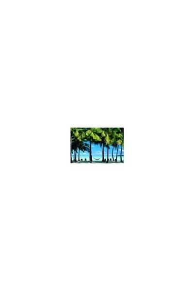 EDUCA Hammock 1000 pieces (EB13416)