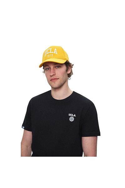 UCLA Crew Neck Printed Standard Fit Men's Tshirt