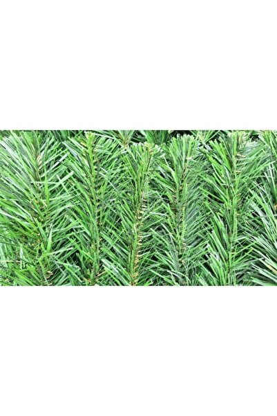 OEM Ramuri artificiale verzi de brad de Crăciun 20 cm