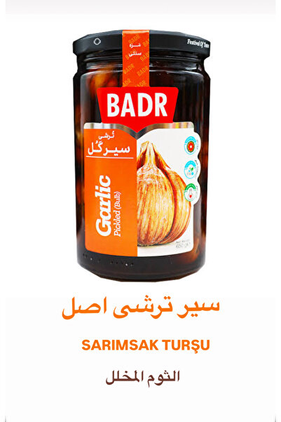BADR SARIMSAK TURŞU_SİR TORŞİ